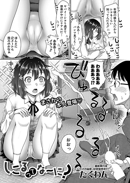 しこるってな〜に？