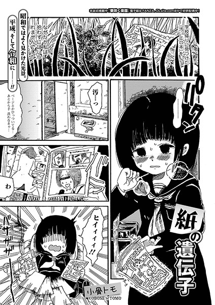 紙の遺伝子